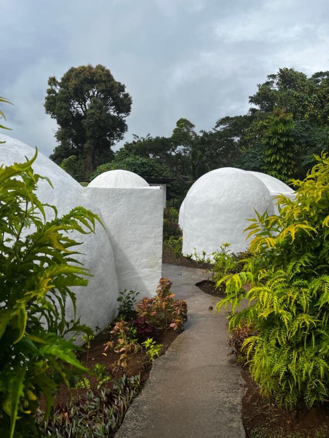 马太 Camp Taveuni旅舍 外观 照片